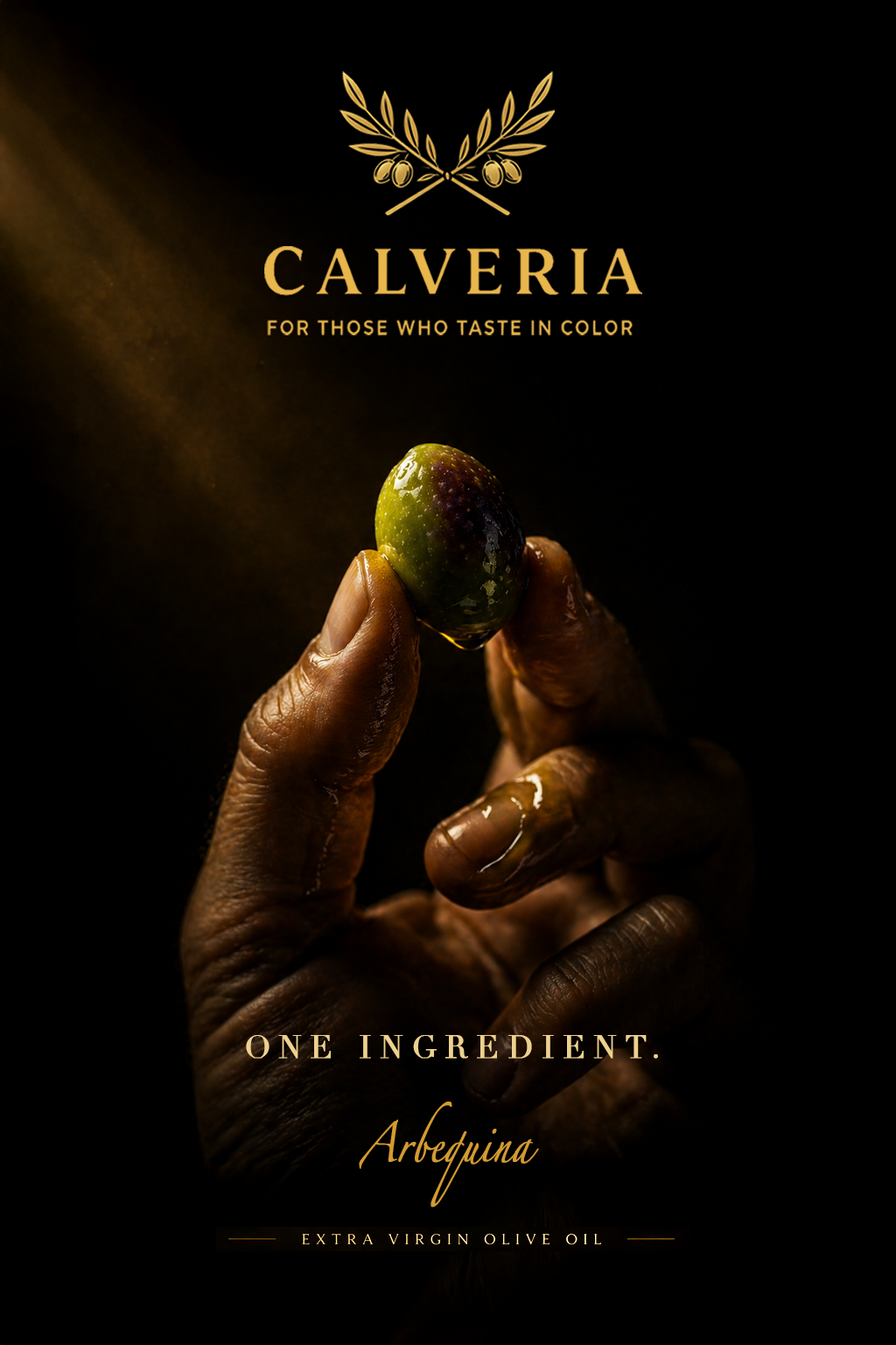 Hand holding a single olive in Calveria campaign art